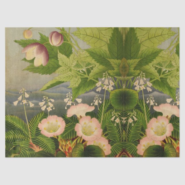 Vintage Botanical Flower Book Illustration Doubled Tissue Paper (Front)