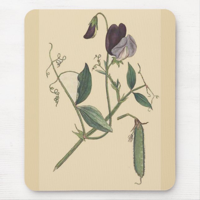 Vintage Botanical Flowers Floral Garden Mouse Pad (Front)