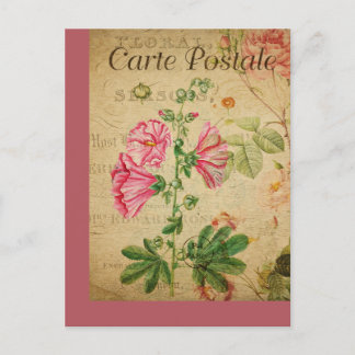 Vintage Botanical French Floral Post Card 