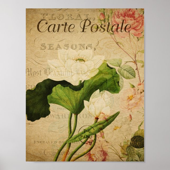 Vintage Botanical French Lotus Poster (Front)