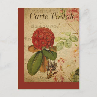 Vintage Botanical French Post Card Rhododendron