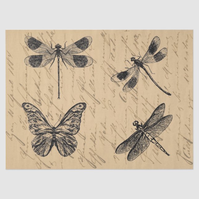 Vintage Botanical Grunge Butterfly Dragonfly  Tissue Paper (Front)