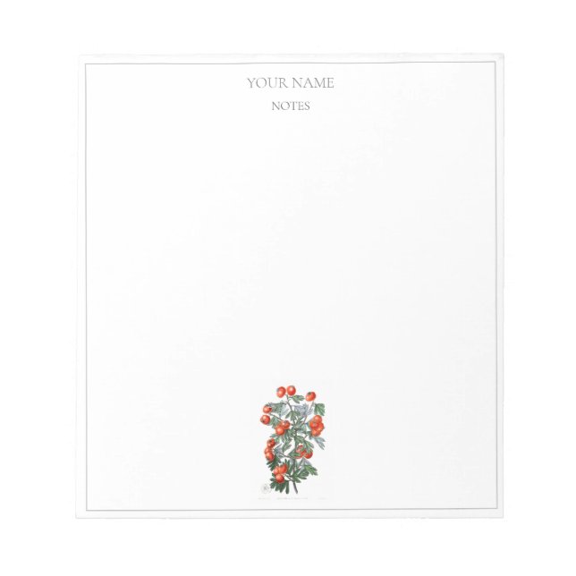 VINTAGE BOTANICAL "HAWTHORN" NOTEPAD (Front)