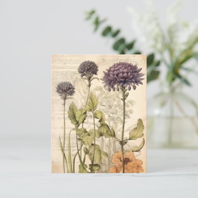 Vintage Botanical Herbal Scrapbook Paper  (Standing Front)