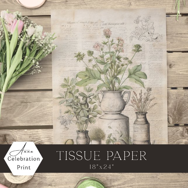 Vintage botanical herbs rustic parchment farmhouse tissue paper (Creator Uploaded)