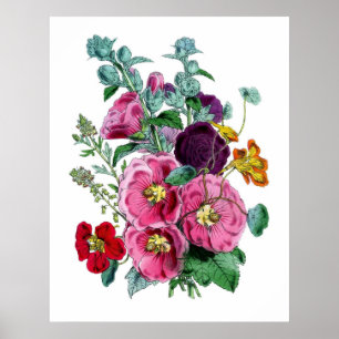 Vintage Botanical Hollyhocks Poster