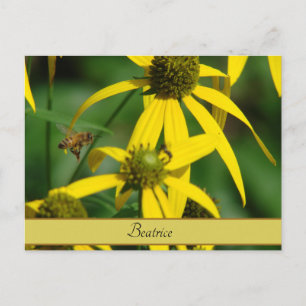 Vintage Botanical Honeybee Art Correspondence Postcard