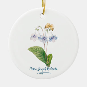 Vintage Botanical Illustration Ceramic Tree Decoration