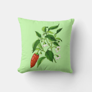 Vintage Botanical Illustration, Chilli Pepper Cushion