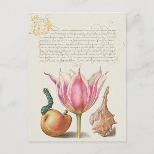 Vintage Botanical Illustration Holiday Postcard