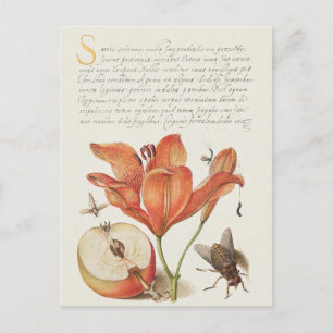 Vintage Botanical Illustration Holiday Postcard
