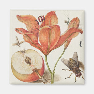 Vintage Botanical Illustration Magnet