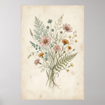 Vintage Botanical Illustration of Wildflowers
