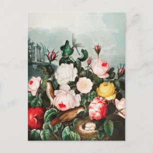 Vintage Botanical Illustration Postcard