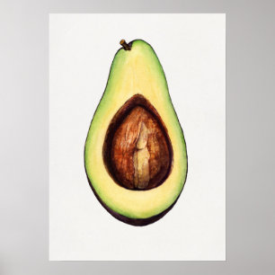 Vintage Botanical Illustration Poster