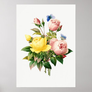 Vintage Botanical Illustration Poster