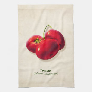 Vintage Botanical Illustration, Tomatoes Tea Towel