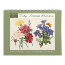 Vintage Botanical Illustrations 2027