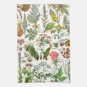 Vintage Botanical Illustrations Tea Towel