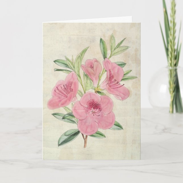 Vintage Botanical Kinghorn's Azalea Card (Front)