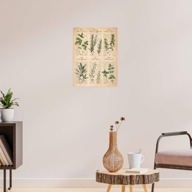 Vintage Botanical Kitchen Herbs Script Art   Poster (Living Room 3)