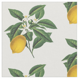Vintage Botanical Lemon Fruit Blossom Fabric