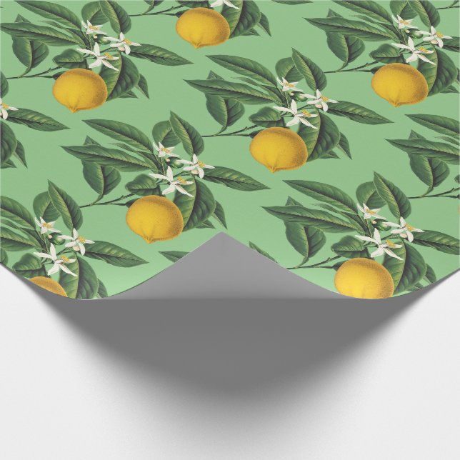 Vintage Botanical Lemon Fruit Blossom Sage Wrapping Paper (Corner)
