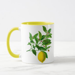 Vintage Botanical Lemon Illustration Mug