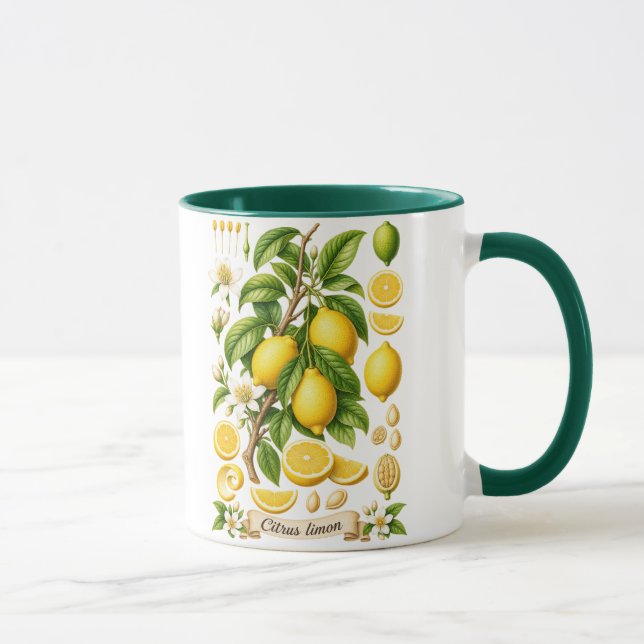Vintage Botanical Lemon Illustration Mug (Right)