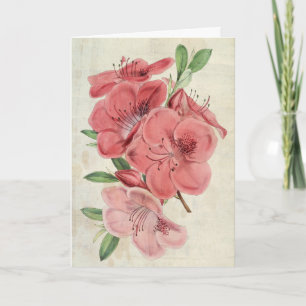 Vintage Botanical Magnet Azalea Card
