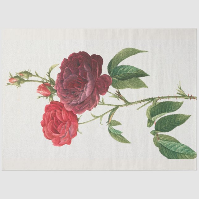 Vintage Botanical Modern Popular Floral Tissue Paper (Front)