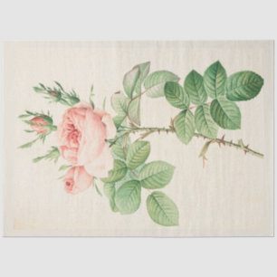 Vintage Botanical Modern Popular Floral Tissue Paper