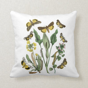 Vintage Botanical Moth & Butterfly Nature Cushion