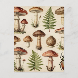 Vintage Botanical Mushroom Fern Collage Postcard