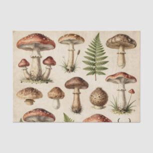 Vintage Botanical Mushroom Fern Collage Tissue Paper