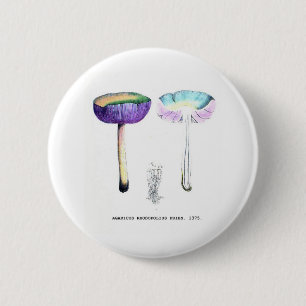 Vintage Botanical Mushrooms 6 Cm Round Badge