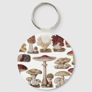 Vintage Botanical Mushrooms Key Ring