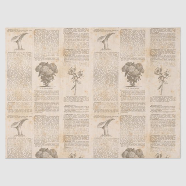 Vintage Botanical Newsprint Decoupage Tissue Paper (Front)