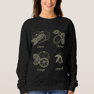 Vintage Botanical Orange Citrus Fruit Spring Cotta Sweatshirt