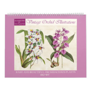Vintage Botanical Orchid Illustrations 2026 Calendar