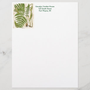 Vintage Botanical Page - Fern Letterhead