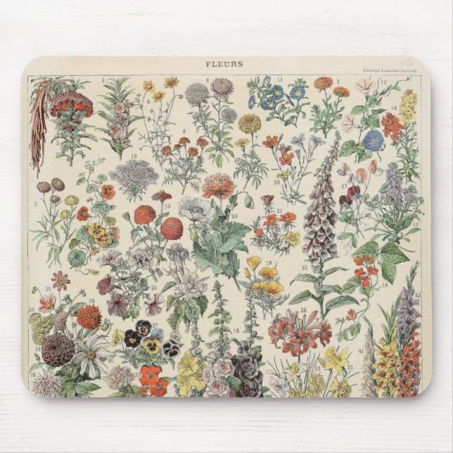 Vintage Botanical Pattern Mouse Pad (Front)
