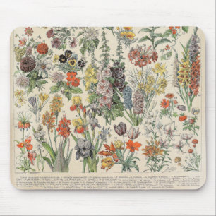 Vintage Botanical Pattern Mouse Pad