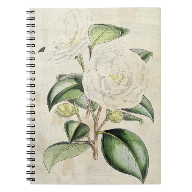 Vintage Botanical Pearl Camellia Notebook (Front)