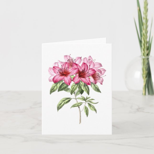 Vintage Botanical Pink Azalea Note Card (Front)