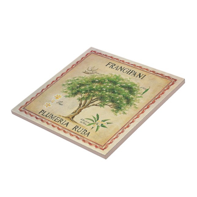 Vintage Botanical Plumeria Tree Art Deco Tile (Side)