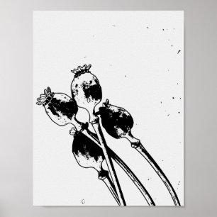 Vintage Botanical Poppy Seed Pods Linocut Sketch Poster