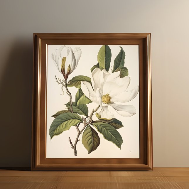 Vintage Botanical Poster (Vintage white flower print is shown in a wooden frame.)