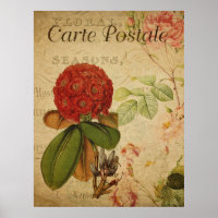 Vintage Botanical Poster - Rhododenron