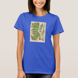 Vintage Botanical Print - Bracken / Ferns T-Shirt